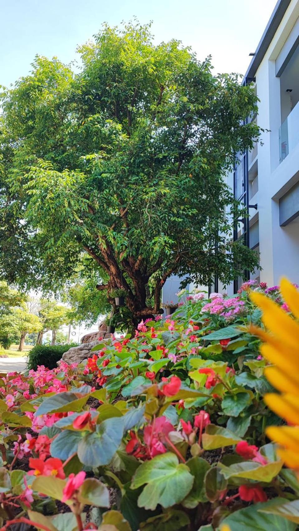 Teva Valley Resort Čiang Rai Exteriér fotografie